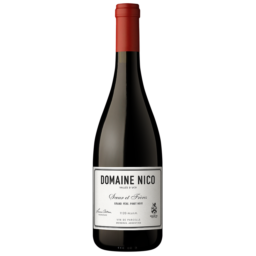 VINO DOMAINE NICO GRAND PERE 2024 750 ML