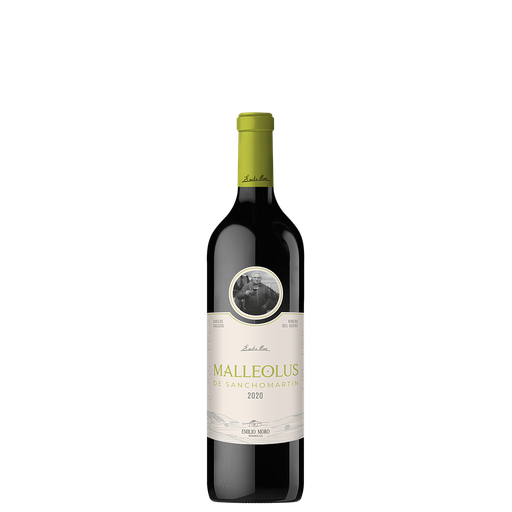 [490] VINO MALLEOLUS SANCHOMARTIN 2020 750 ML