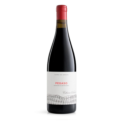 [2808] VINO TELMO RODRIGUEZ PEGASO PIZARRA 2022 750 ML