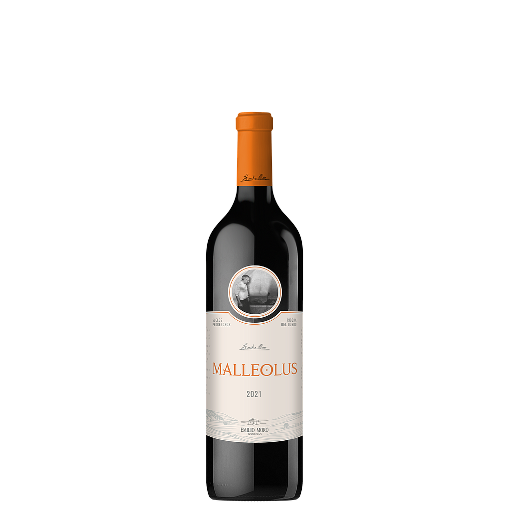VINO MALLEOLUS 2021 750 ML