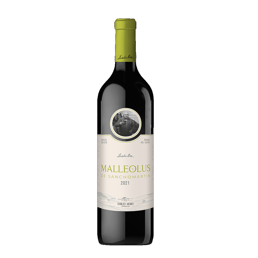 VINO MALLEOLUS SANCHOMARTIN 2021 750 ML