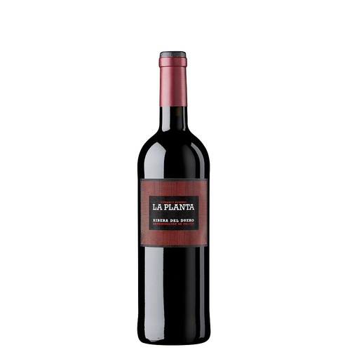 [476] VINO ARZUAGA LA PLANTA 2023 750 ML